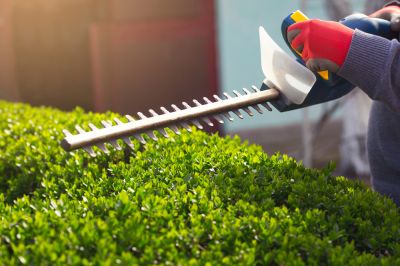 Hedge Shaping