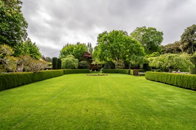 Improve The Look of Your Landscaping!