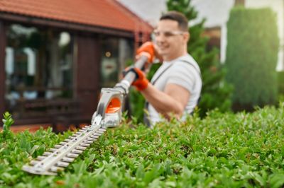 Get Professional Shrub Trimming