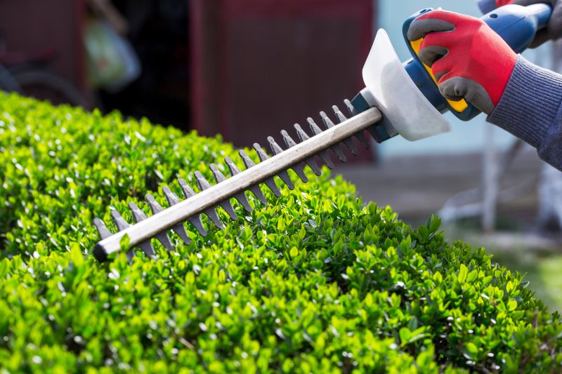 Hedge Cutting