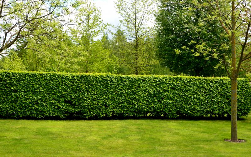 Boost Your Property Value