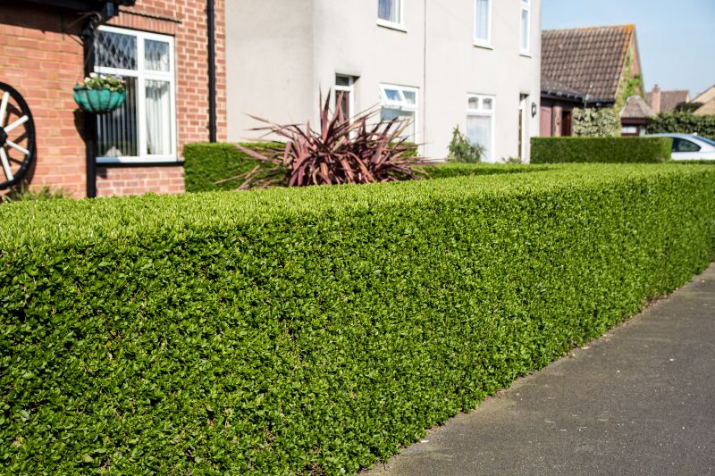 Enhance Hedge Aesthetics