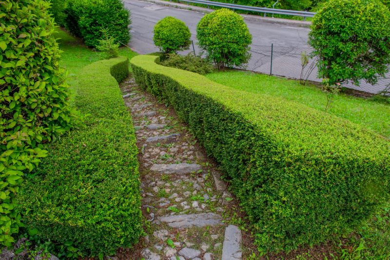 Promote Healthy New Growth