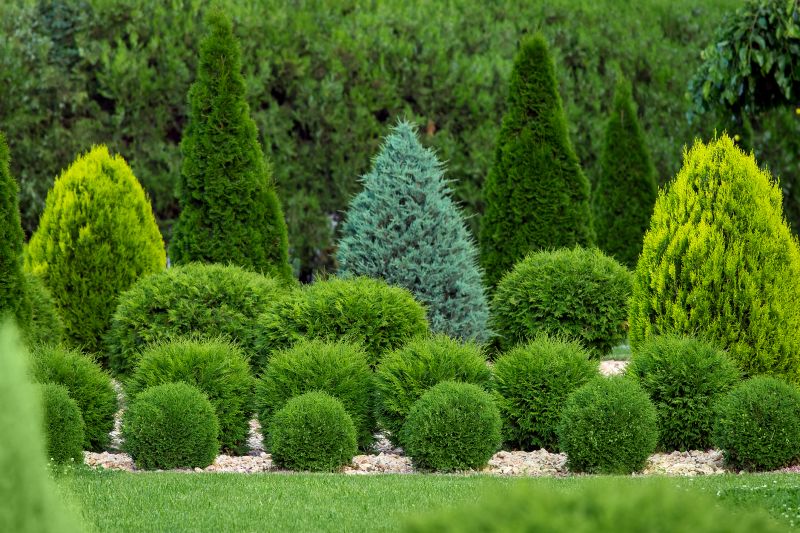 Shrub Pruning - Garden Pruning Rockland County, New York