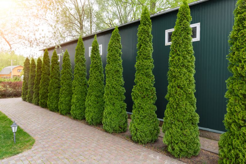 Tree Pruning - Garden Pruning Rockland County, New York