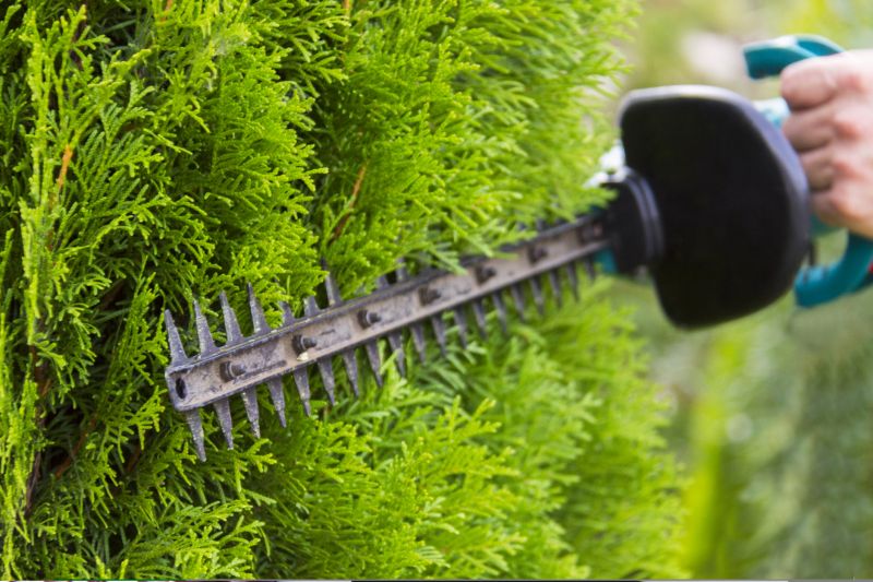 Bush Shaping