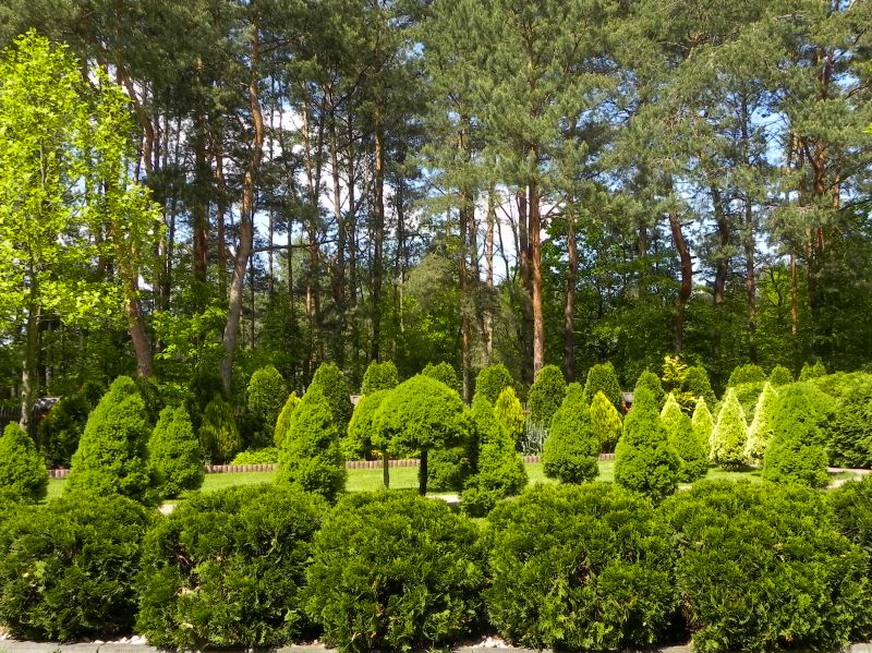Healthy Plant Development