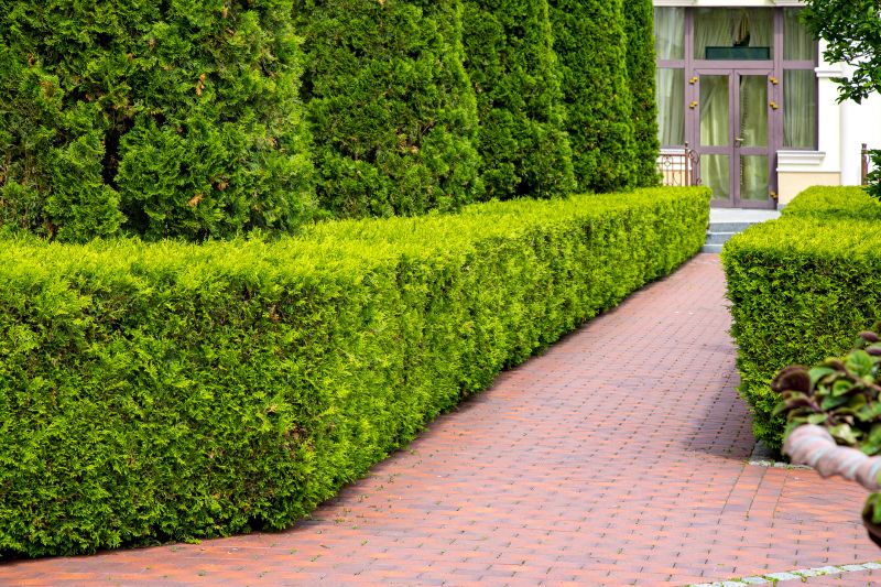 Expert Hedge Maintenance Service Enhances Privacy and Security!
