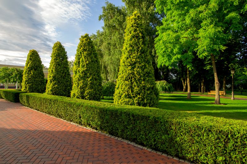 Improve Shape and Aesthetic Appeal With Professional Maintenance!