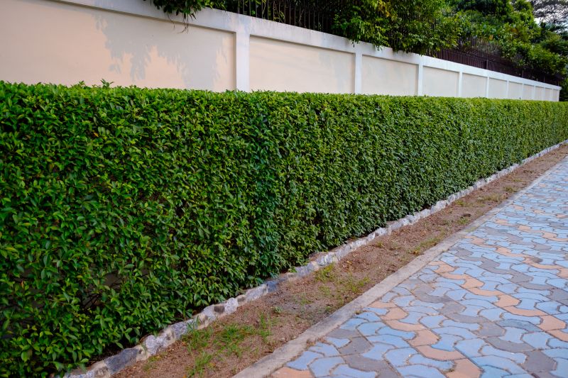 Investing in Professional Hedge Maintenance Prevents Pest Infestations!