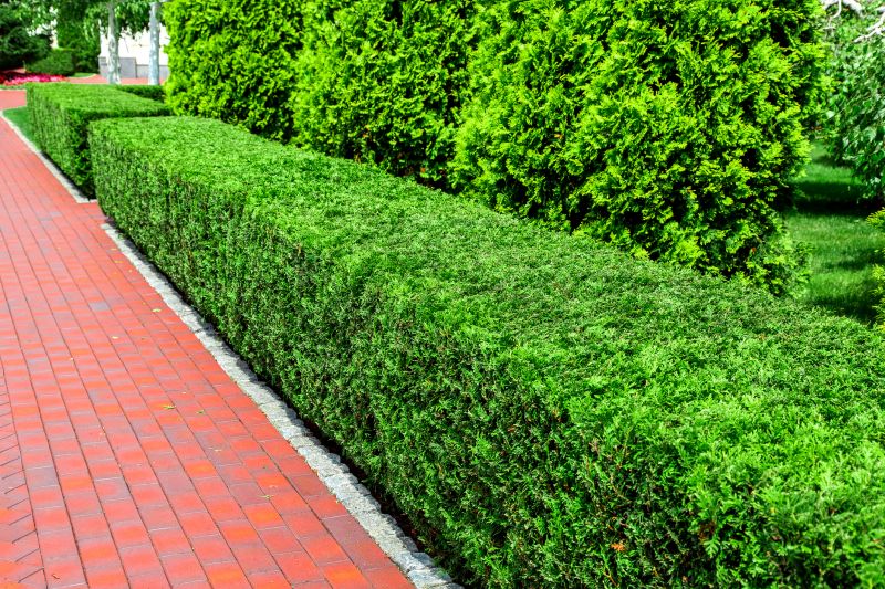 Promote Healthy Growth By getting Professional Hedge Maintenance!