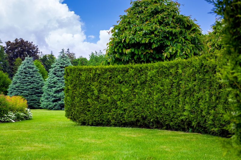 Hedge Trimming