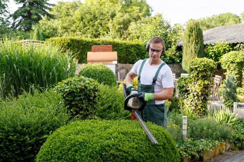 Shrub Care