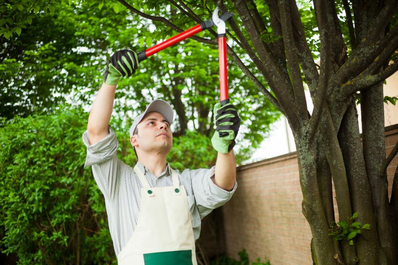 Shrub Care