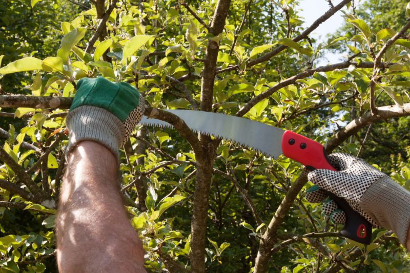 Shrub Care detail