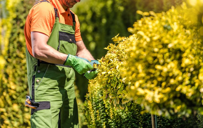 Shrub Care