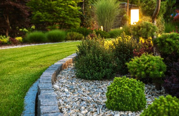 Shrub Care Service