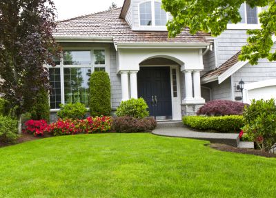 Clear Space in Your Garden or Landscaping!