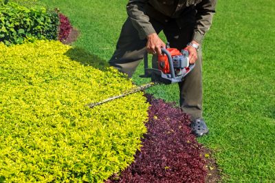 Landscape Pruning - Landscape Pruning Tuscaloosa, Alabama