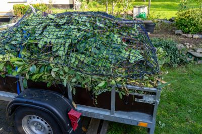 Prevent Pest Infestations With Professional Dead Shrub Removal Service!