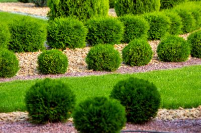 Enhanced Curb Appeal!