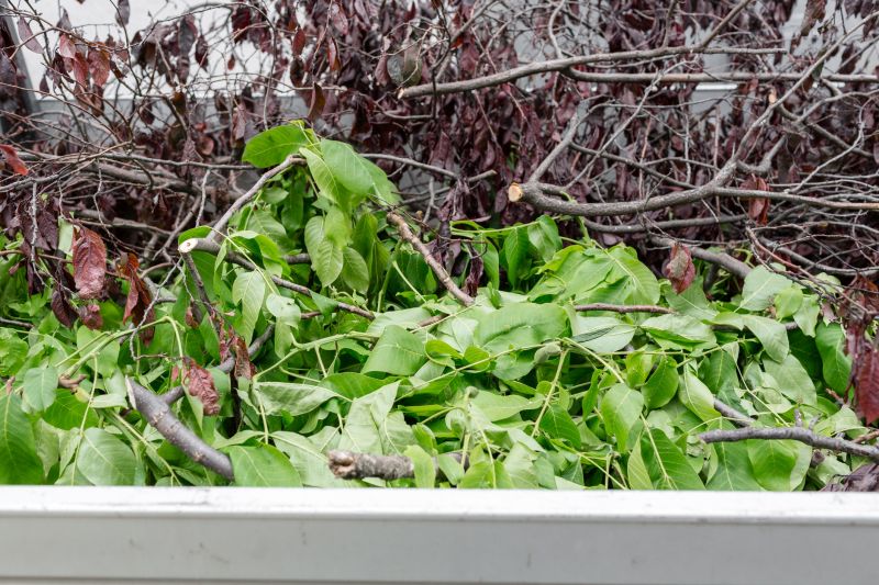 Enhance Landscape Appearance With Professional Dead Shrub Removal Service!