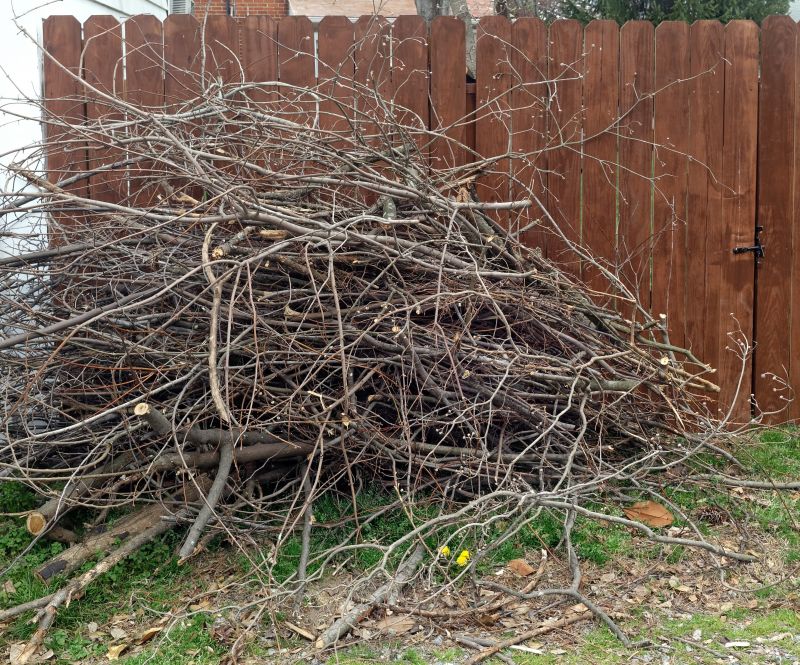 Get Professional Dead Shrub Removal To Prevent Disease From Spreading!