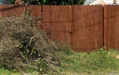 Get Professional Dead Shrub Removal To Reduce Fire Hazards!