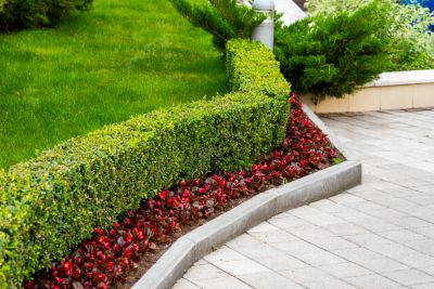 Control the Size and Shape of Your Shrubs!