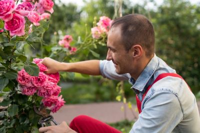 Get Flowering Shrubs Pruned!