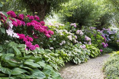Landscape Transformation